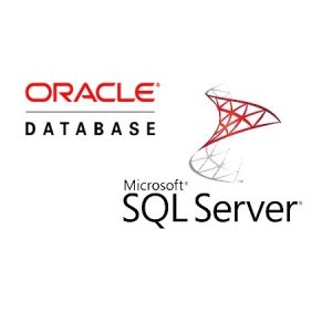 Script Generator for Database Structure and Data Transfer